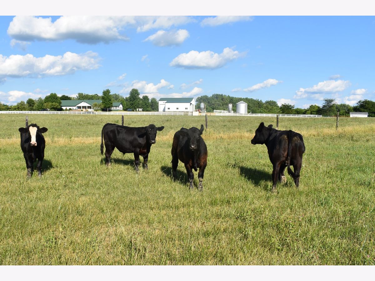  Sold Tremont Illinois, 25925 Iron Mountain