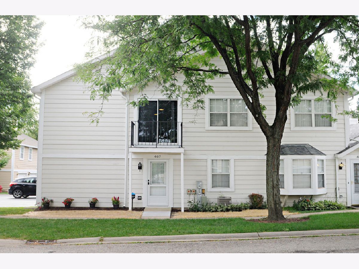 Townhomes & Condos Sold Cornell Lakes Palatine Illinois, 407 Lake Shore