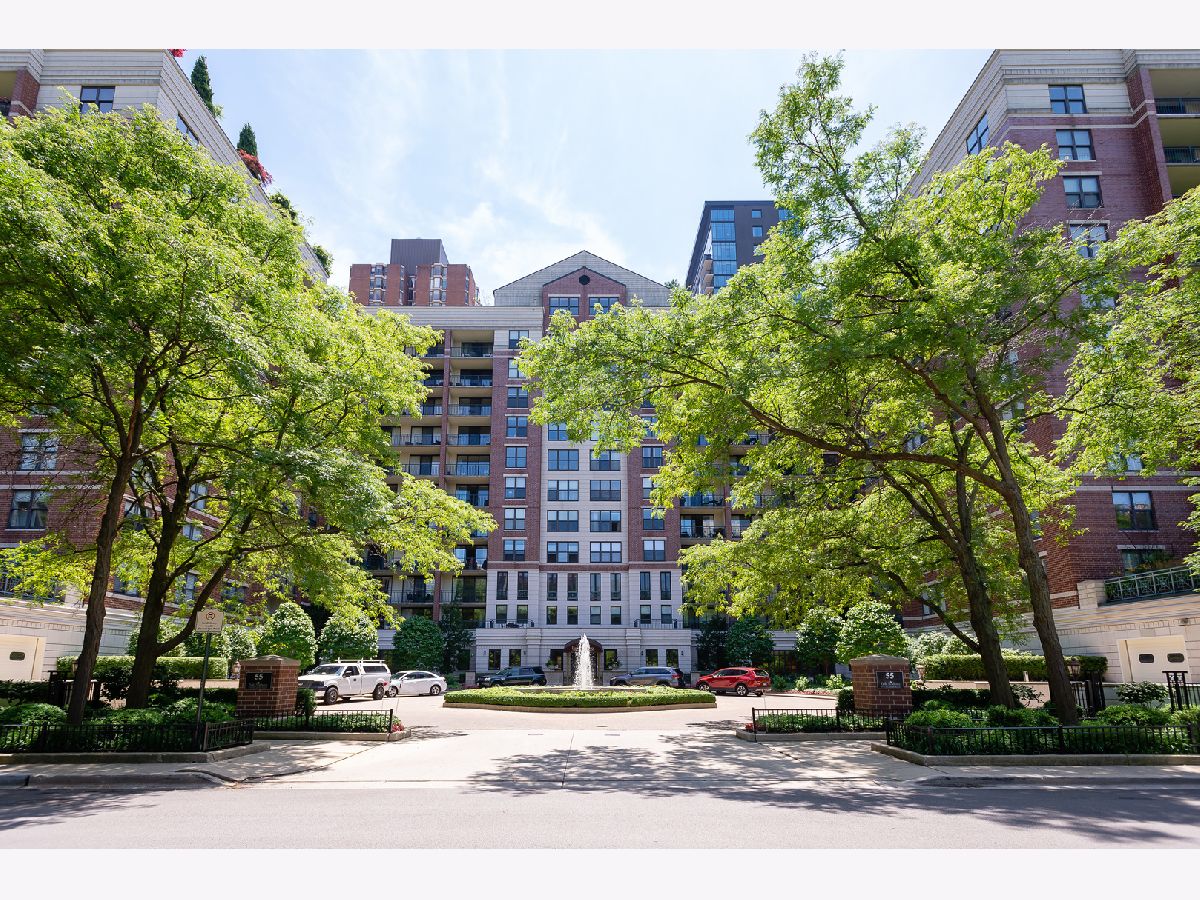 Condominiums Rented Park Newberry Chicago Illinois, 55 Delaware