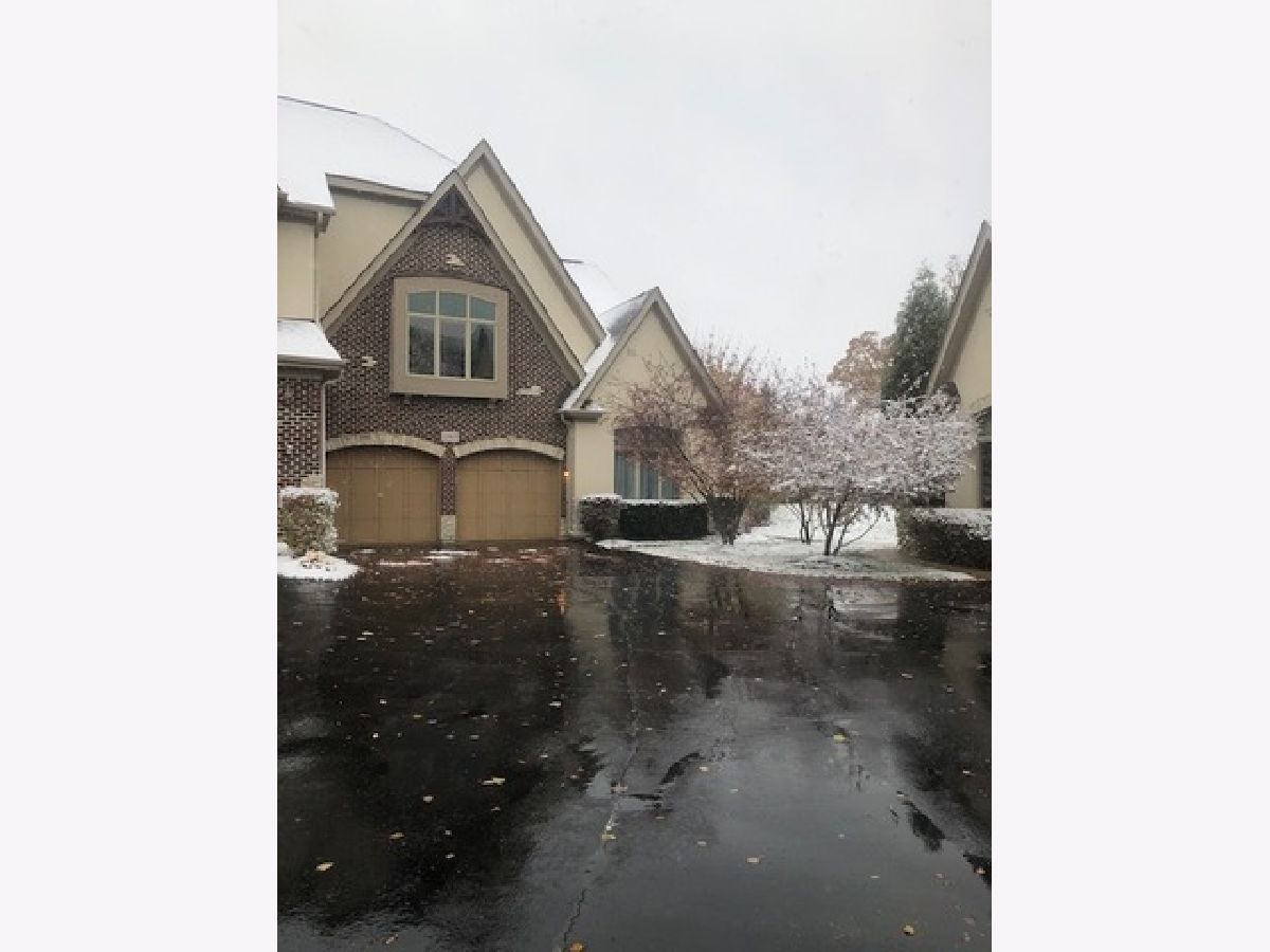 Townhomes Rented Deer Park Place Deer Park Illinois, 20615 Westpark