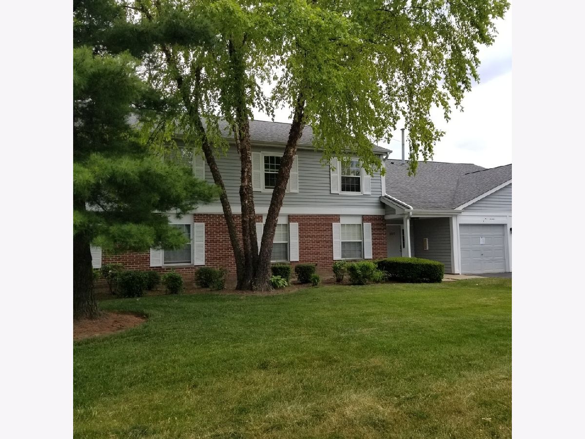 Condos & Townhomes Rented Crestview Estates Wauconda Illinois, 227 Brett