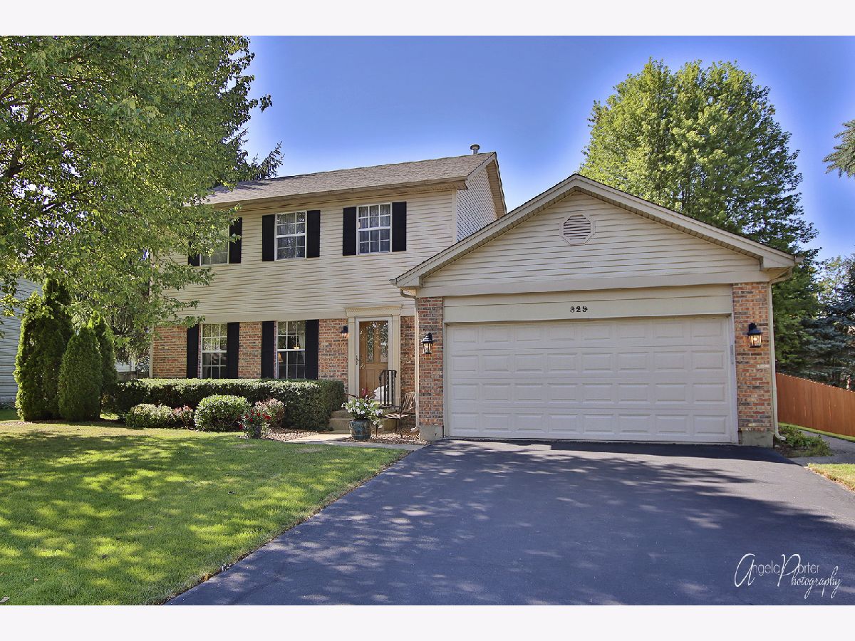 Homes Rented Hillhurst Cary Illinois, 329 Claire