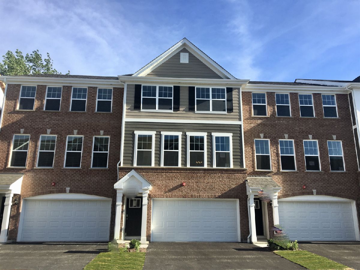 Condos & Townhomes Sold Wolf Crossing Wheeling Illinois, 63 Timber Wolf