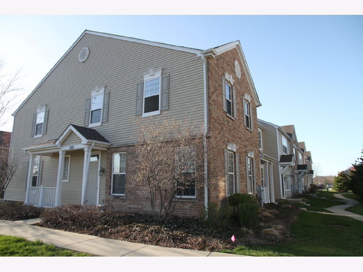 Homes & Townhomes Rented Farmington Lakes Oswego Illinois, 263 Springbrook
