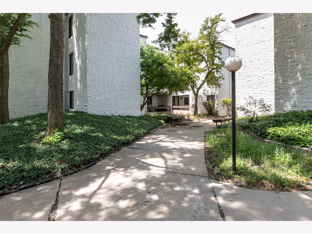 Condominiums Sold Courtyard Arlington Heights Illinois, 354 Miner