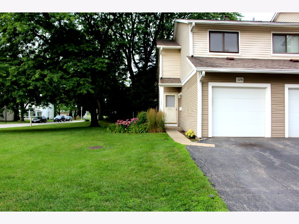 Townhomes & Condos Sold Cunningham Courts Palatine Illinois, 1028 Randville