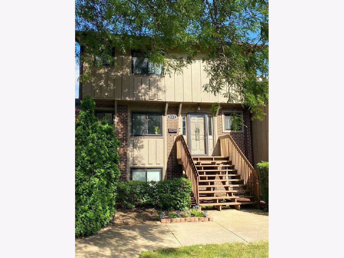 Townhomes & Condos & Homes Rented Ventura 21 Roselle Illinois, 523 Club House