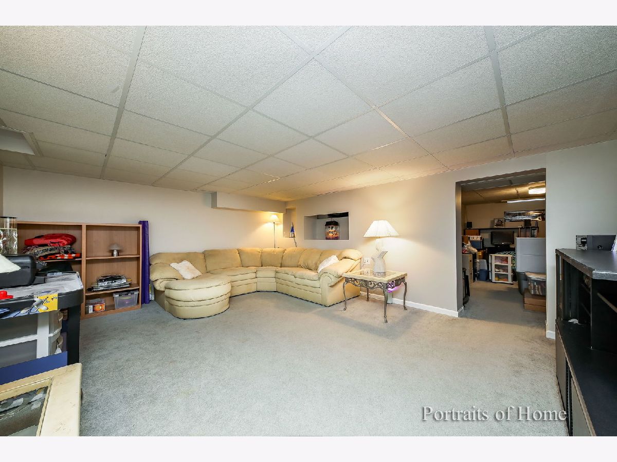 302 Birchwood Lane, Bloomingdale, Illinois 60108 MLS 10809708