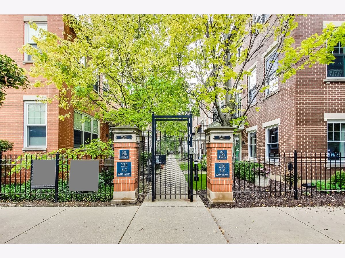 Townhomes & Condos & Homes Rented Old Town Square Chicago Illinois, 220 Scott
