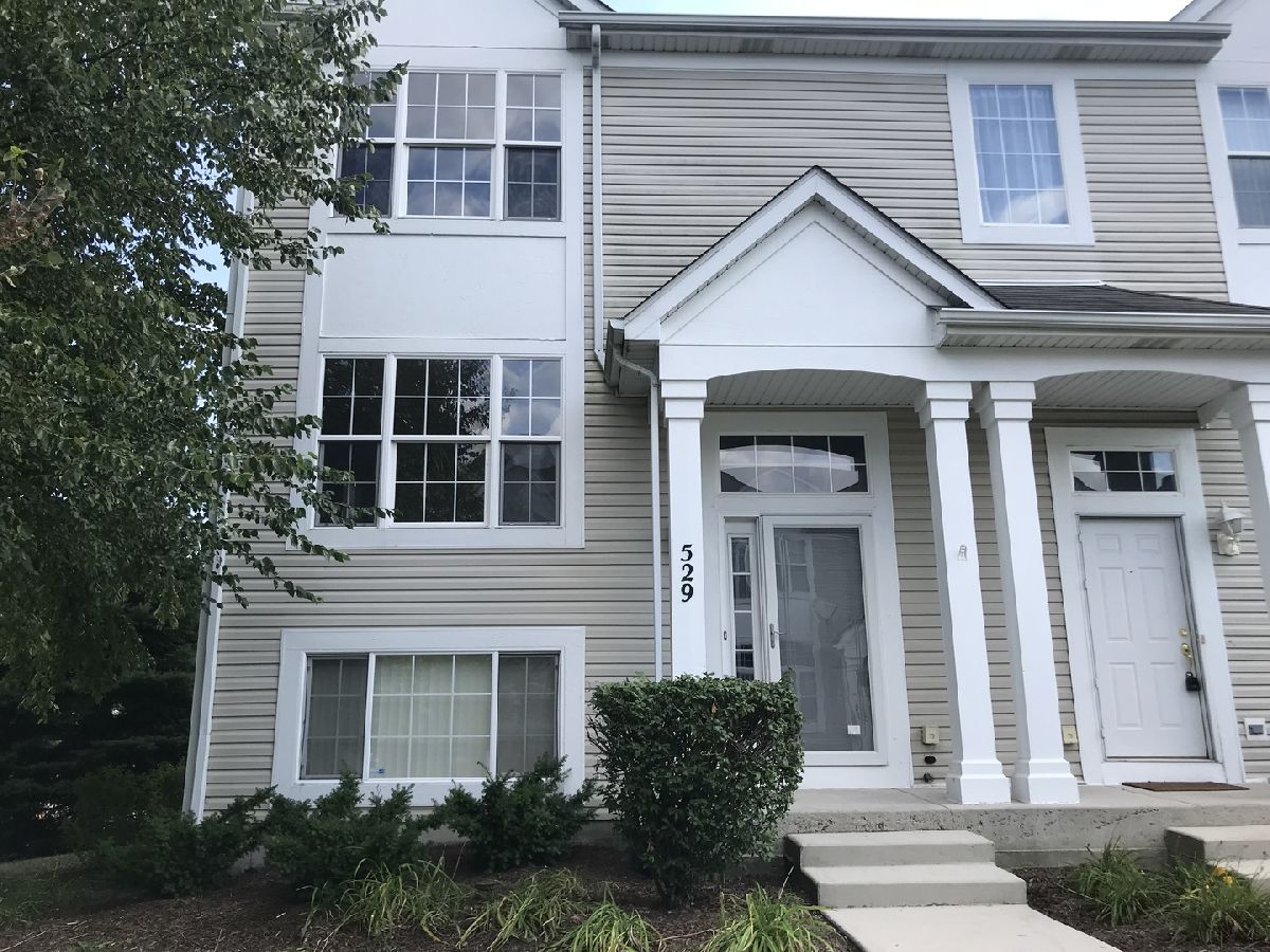 Townhomes & Condos & Homes Rented Silver Leaf Joliet Illinois, 529 Silver Leaf