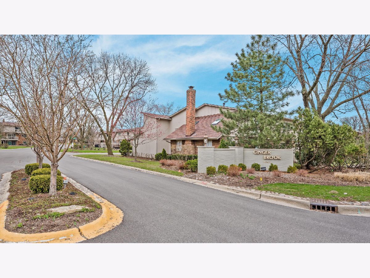 Townhomes & Condos Sold Gingerbrook Oak Brook Illinois, 2S728 Ginny