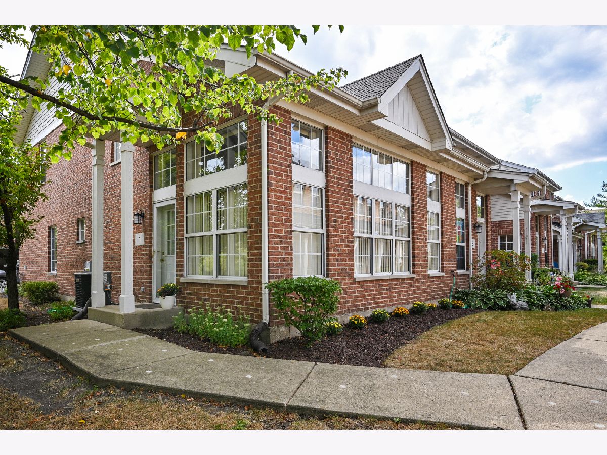 Townhomes Sold Astoria Place Elmhurst Illinois, 1 Dewalt