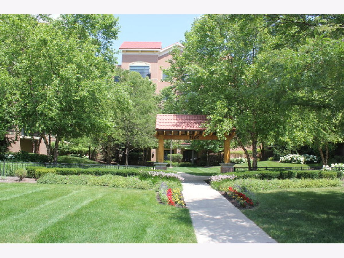 Condominiums Rented Arbor Court Oak Lawn Illinois, 5100 96th
