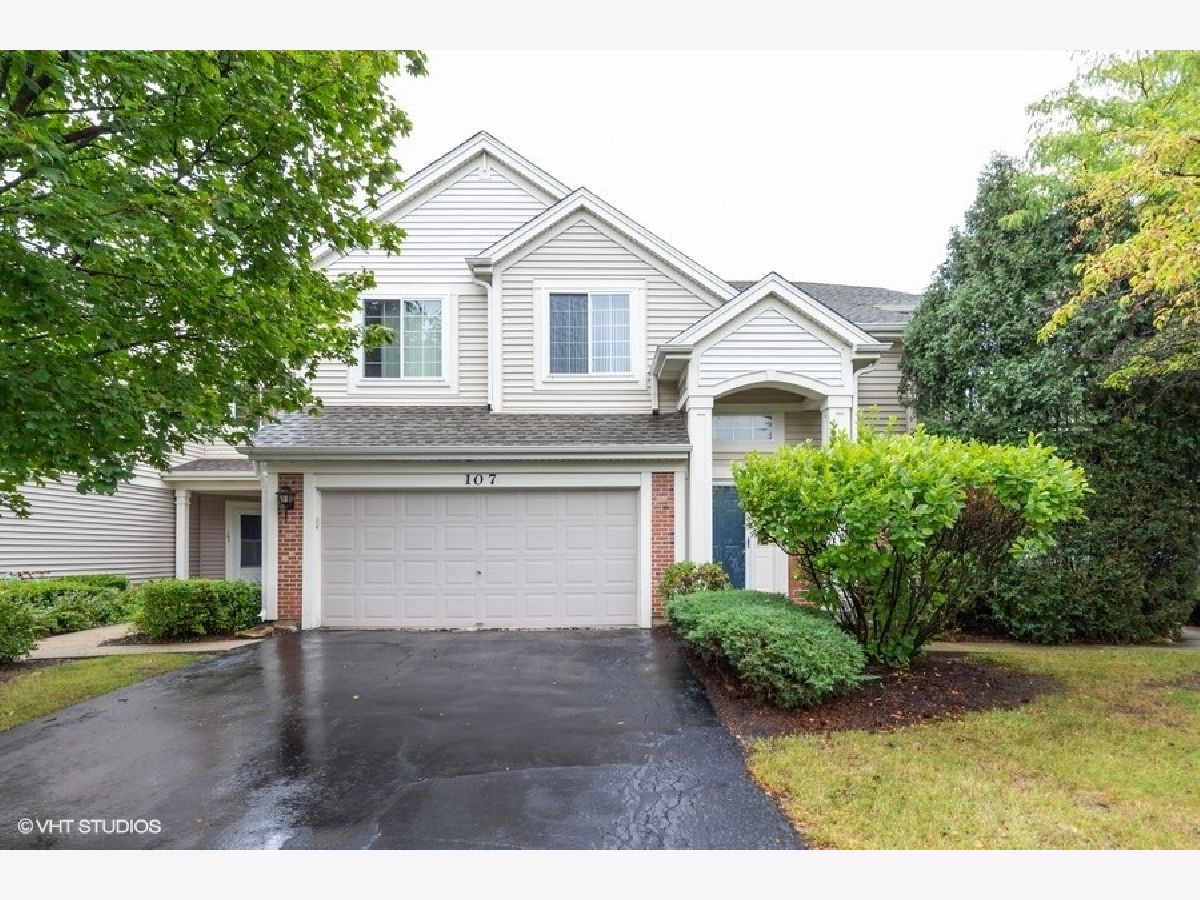 Townhomes & Condos Sold Concord Station Streamwood Illinois, 107 Heritage