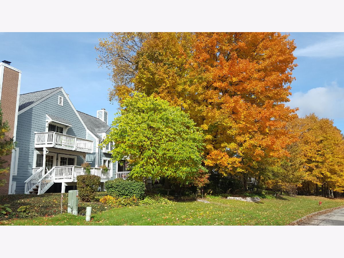 Condos & Townhomes Sold Whittington Course St Charles Illinois, 14 Whittington