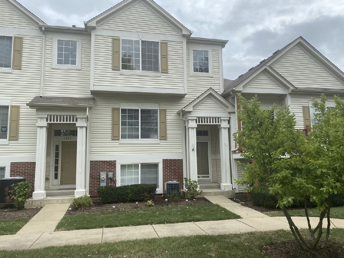 Townhomes & Homes Rented Fieldstone Place Montgomery Illinois, 1309 Manning