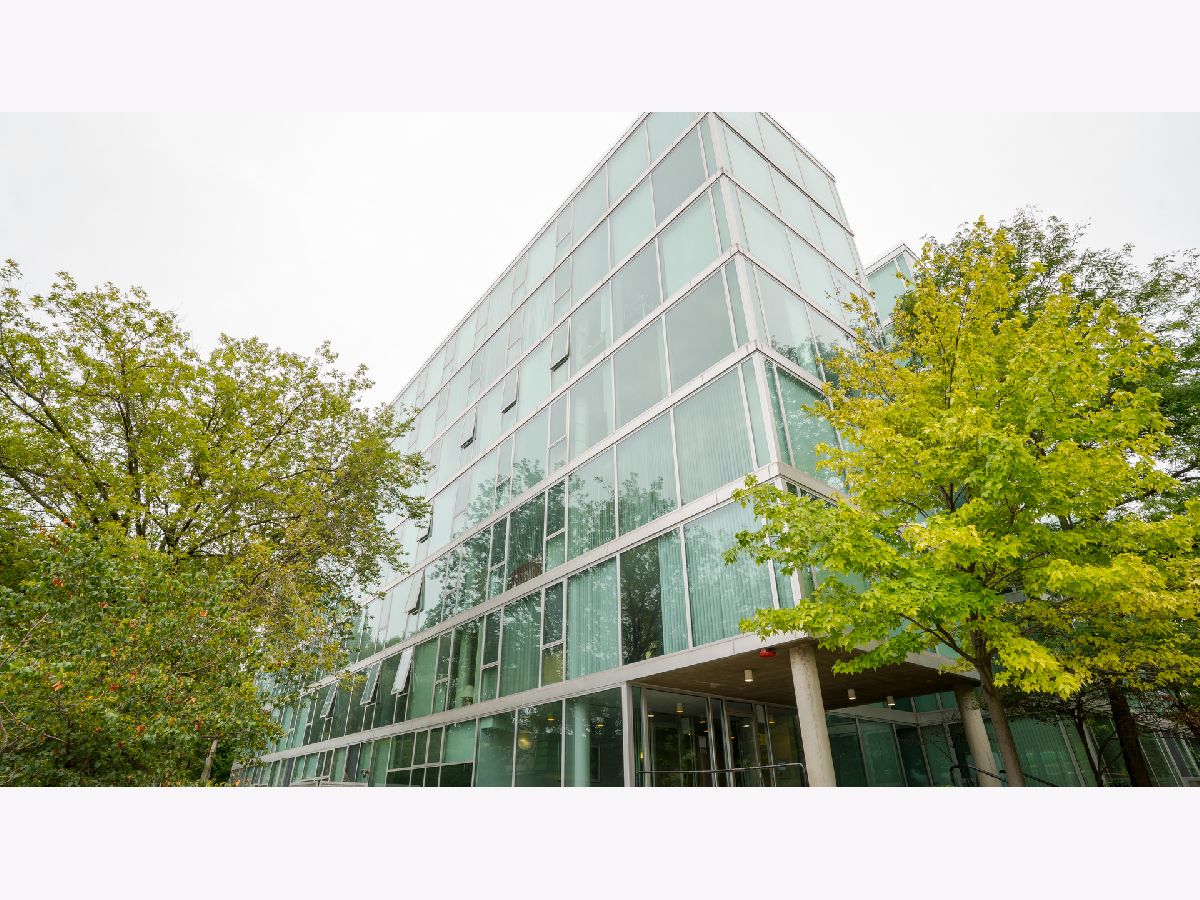 Condominiums Rented Michigan Place Chicago Illinois, 3115 Michigan