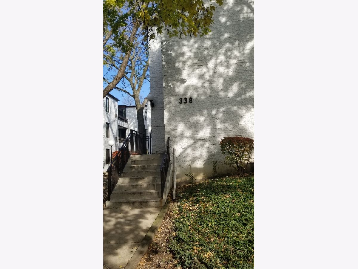 Condominiums Rented Courtyard Arlington Heights Illinois, 338 Miner