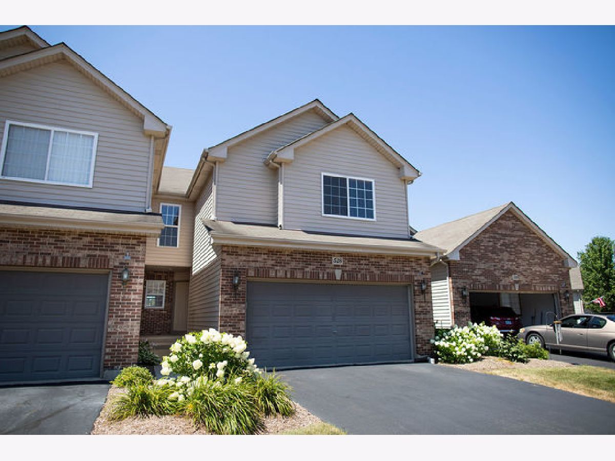 Condos & Townhomes & Homes Sold Madison Homes Elgin Illinois, 528 Madison