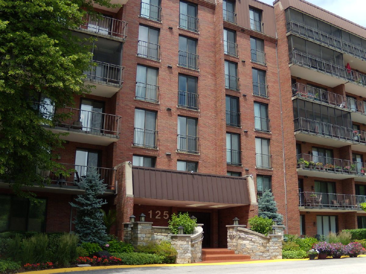 Condominiums Rented Wilshire Green Indian Head Park Illinois, 125 Acacia