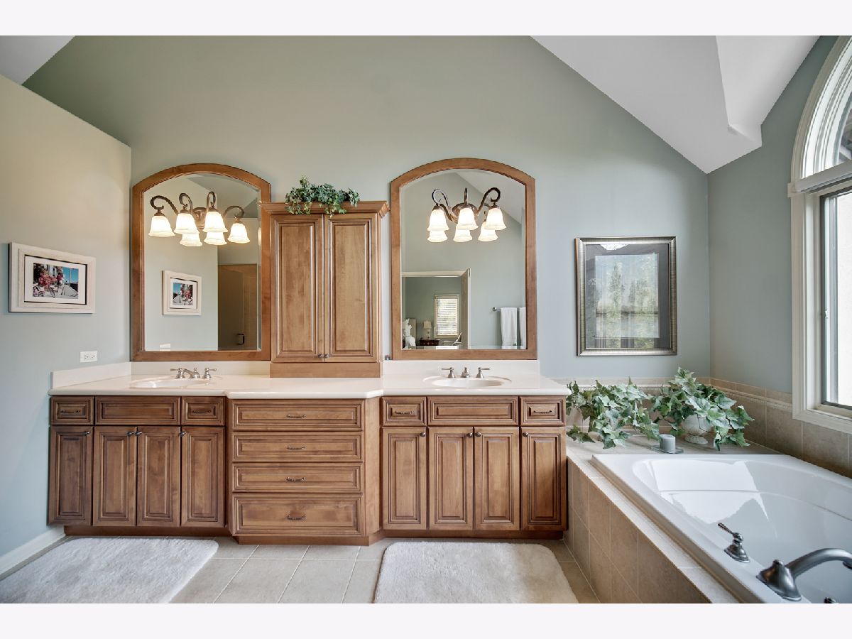 Townhomes Sold Maison Du Comte Palatine Illinois, 1576 Rue James