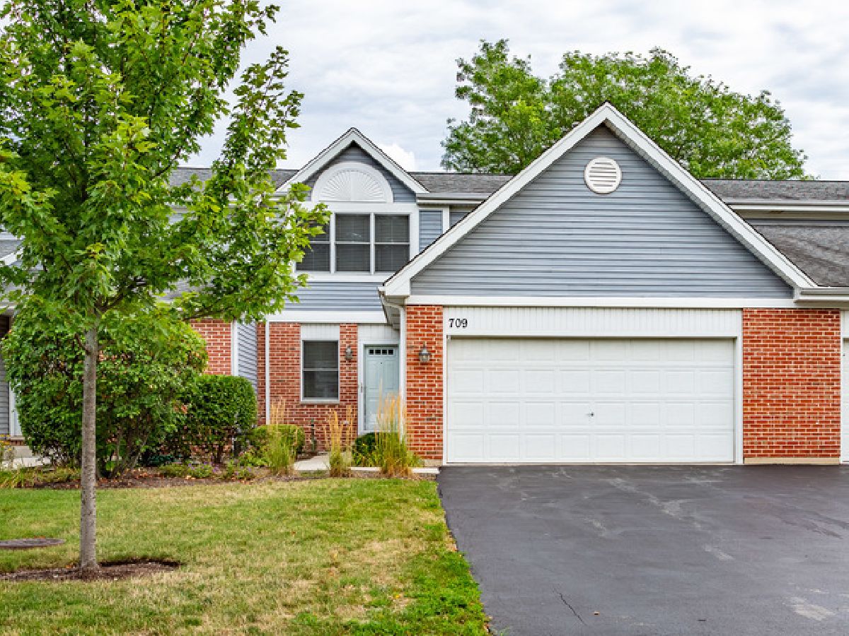 Townhomes & Condos & Homes Rented Elk Trail Carol Stream Illinois, 709 Hoover