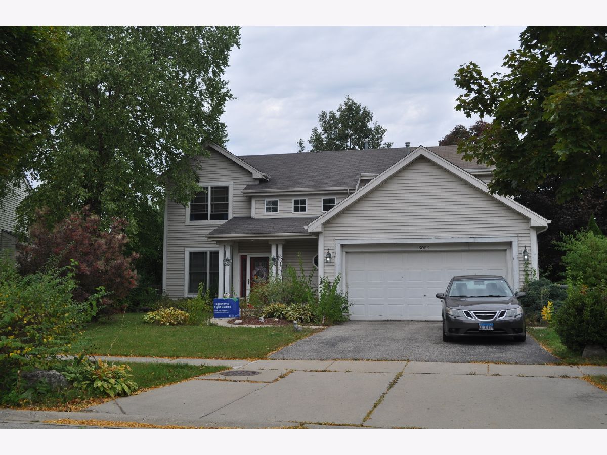 Homes Sold Providence Point Carpentersville Illinois, 6003 Sanders