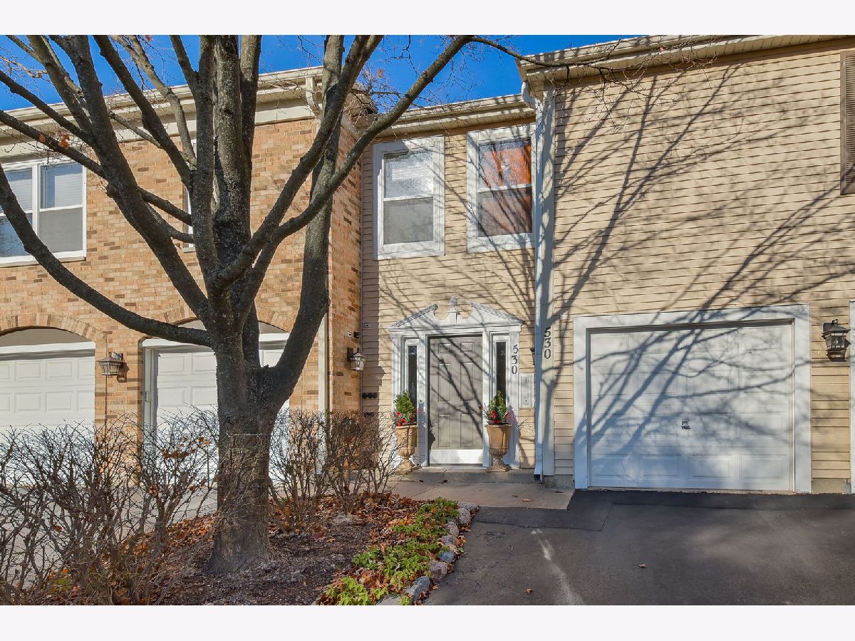 Townhomes & Condos & Homes Rented River Bend Naperville Illinois, 530 River Front