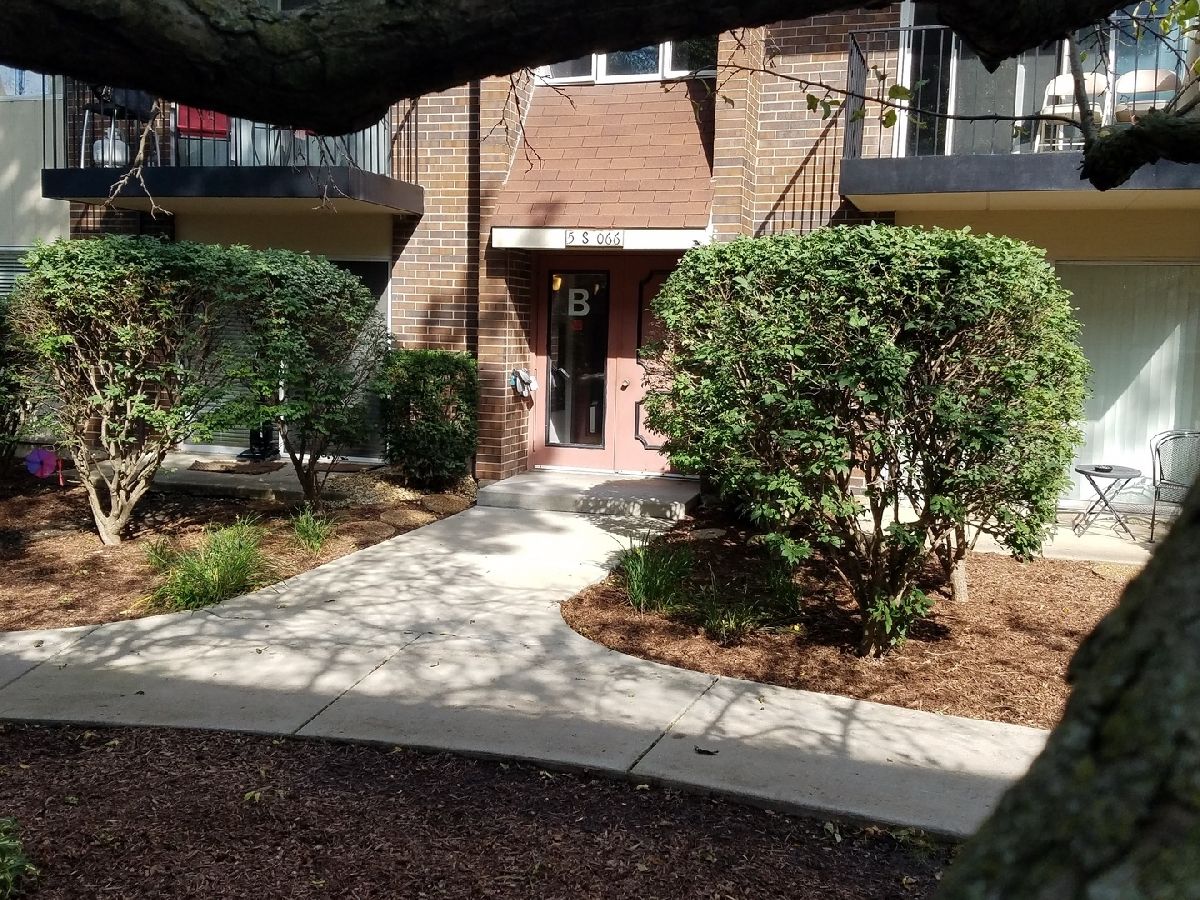 Condos & Townhomes Rented Pebblewood Naperville Illinois, 5S066 Pebblewood