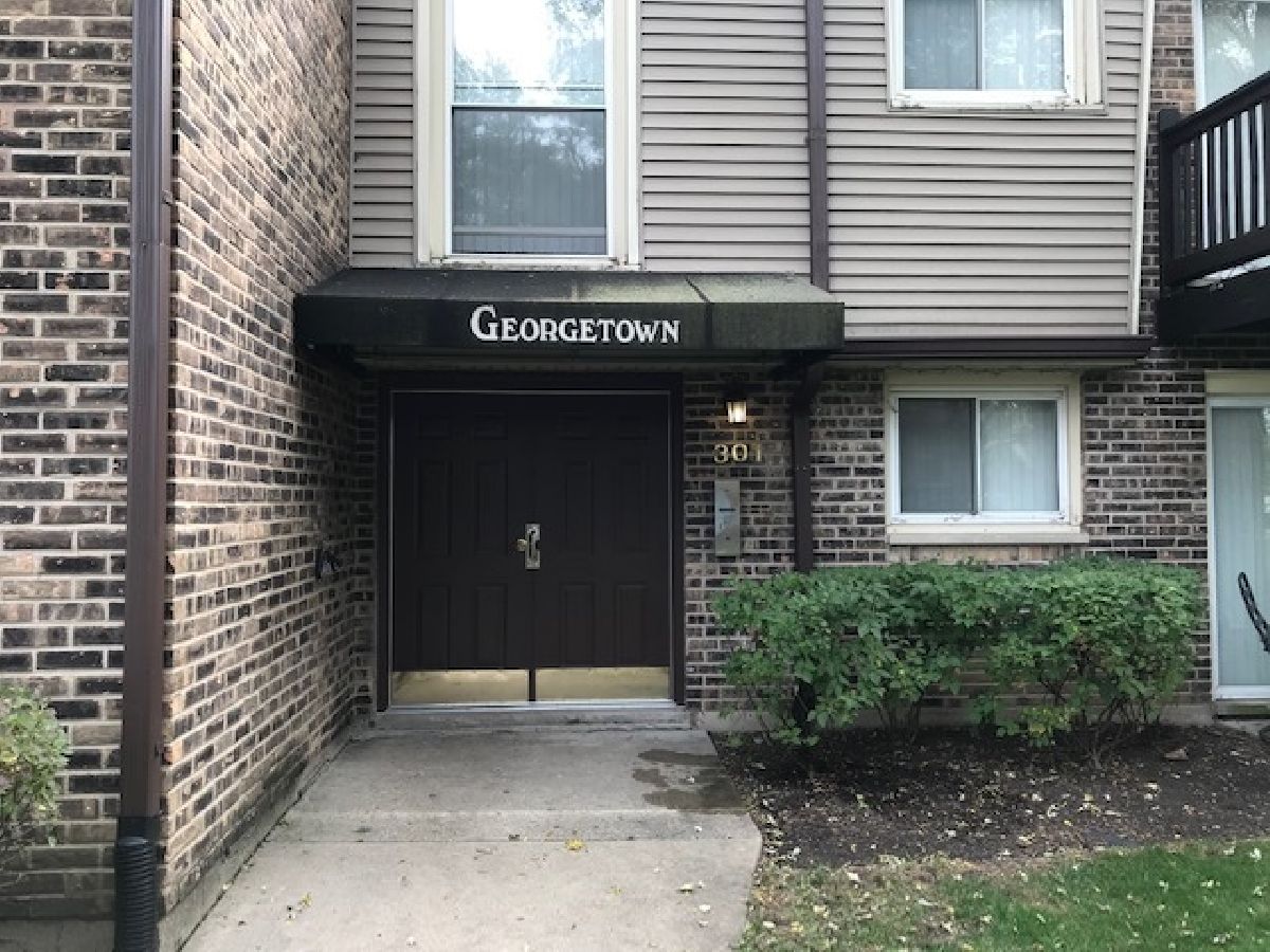 Condominiums Sold Georgetown Palatine Illinois, 301 Carter