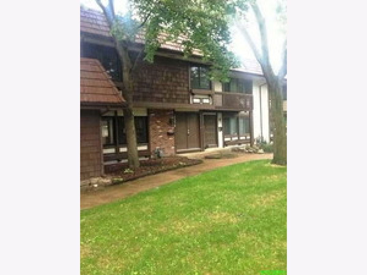Townhomes & Condos Rented Tanglewood Hanover Park Illinois, 5572 Carmel