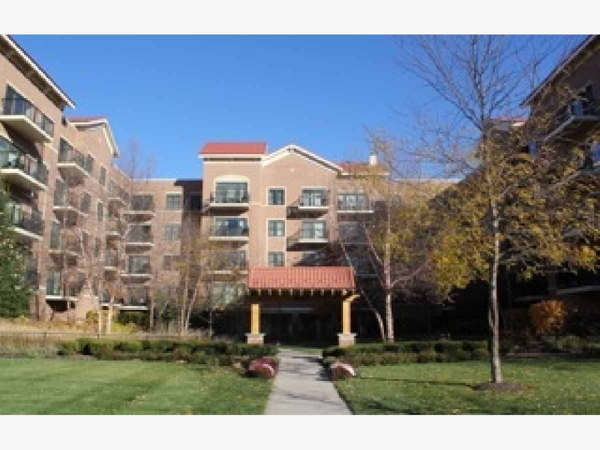 Condominiums Rented Arbor Court Oak Lawn Illinois, 5100 96th