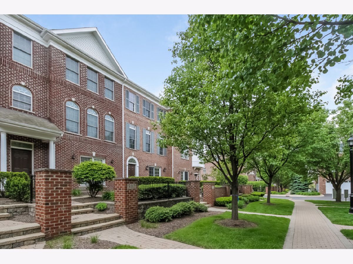 Townhomes & Homes Rented Naperville Station Naperville Illinois, 312 Big Rail