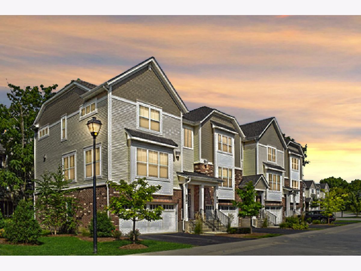 Condos & Townhomes Sold Lexington Chase Palatine Illinois, 866 Chase