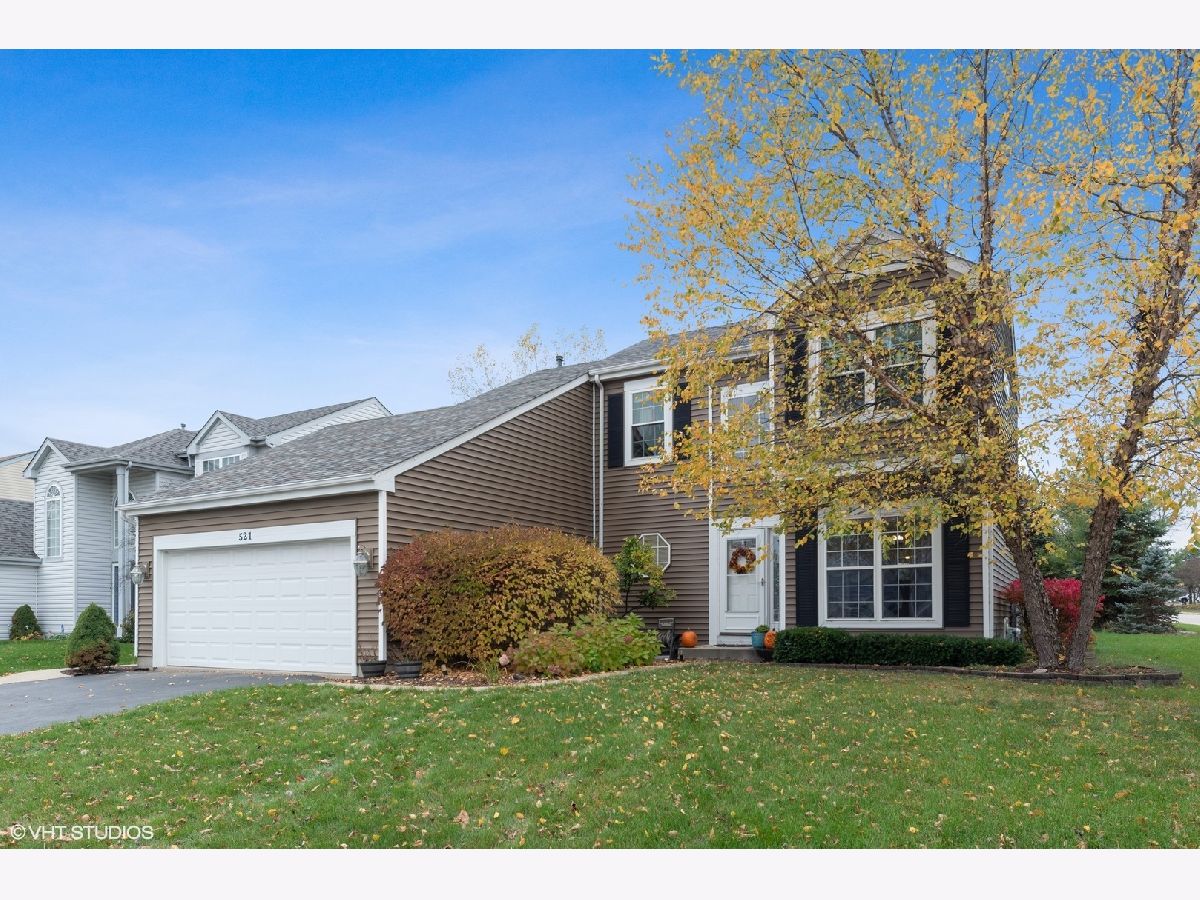 Homes Sold Stoney Brooke Lake In The Hills Illinois, 521 Anderson