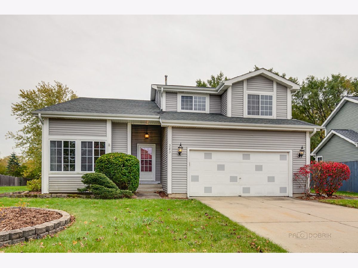 Homes Sold The Willows At Greenwood Round Lake Park Illinois, 383 Colony