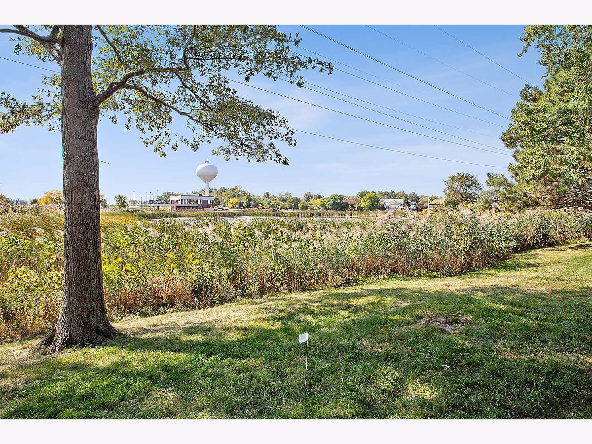 9735 Mill Drive, Palos Park, Illinois 60464 MLS 10920879 WinterCohen