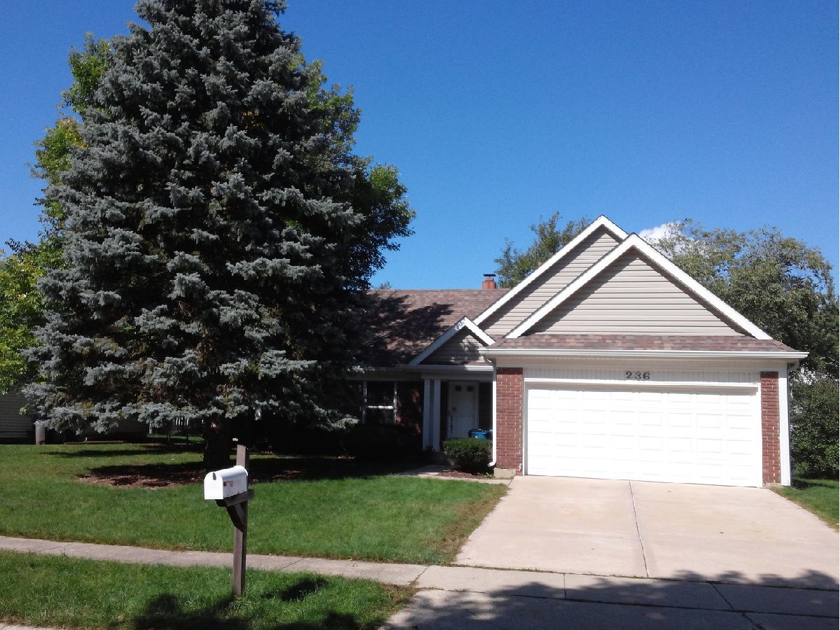Homes & Condos & Townhomes Rented Sheffield Estates Schaumburg Illinois, 236 Continental