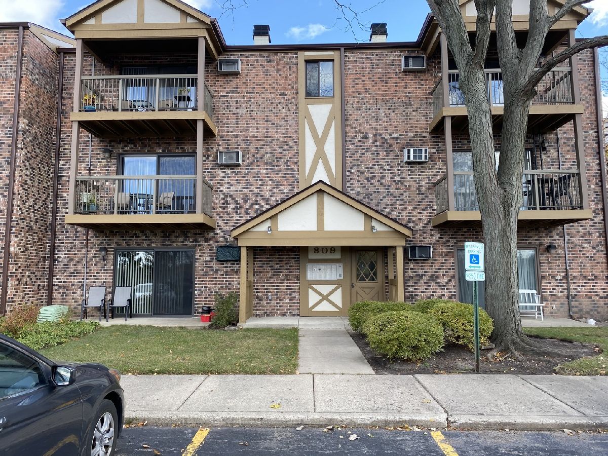 Condominiums Rented Church Creek Arlington Heights Illinois, 809 Dwyer