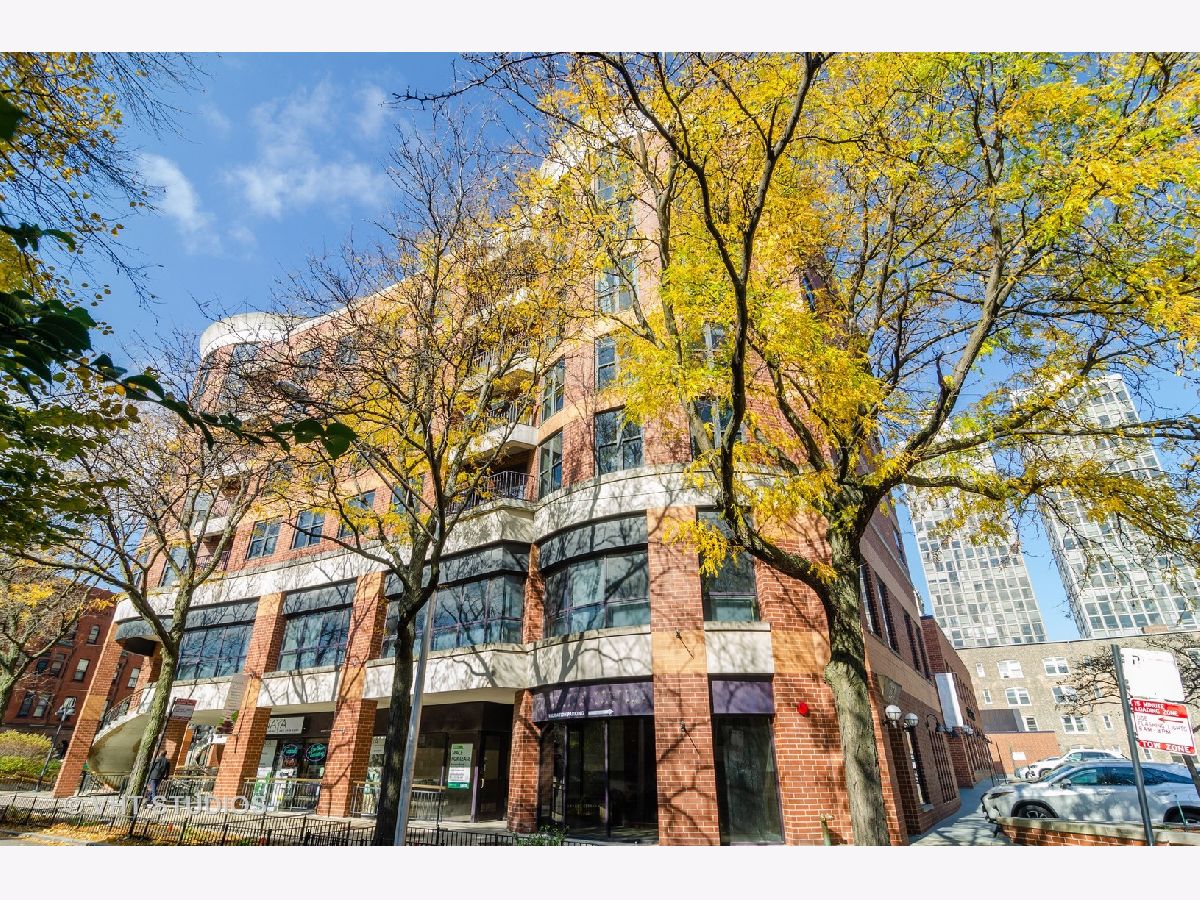 Condominiums Sold Belden Centre Chicago Illinois, 350 Belden