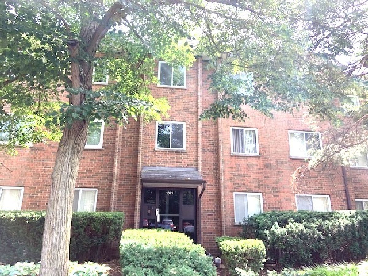 Condominiums Sold Hidden Ponds Schaumburg Illinois, 1021 Buccaneer