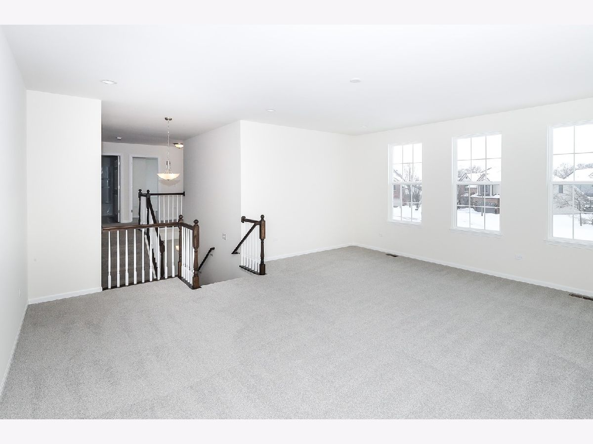 26116 W Chatham Lot 55 Drive, Plainfield, Illinois 60585 MLS 10928361 WinterCohen