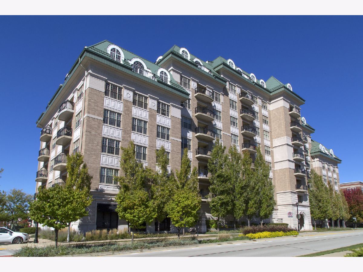 Condominiums Rented The Providence Palatine Illinois, 50 Plum Grove