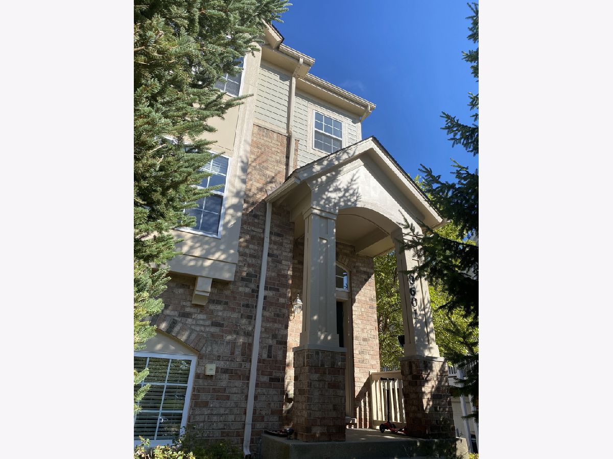 Condos & Townhomes Sold Trafalgar Woods Townhomes Morton Grove Illinois, 8601 Grove