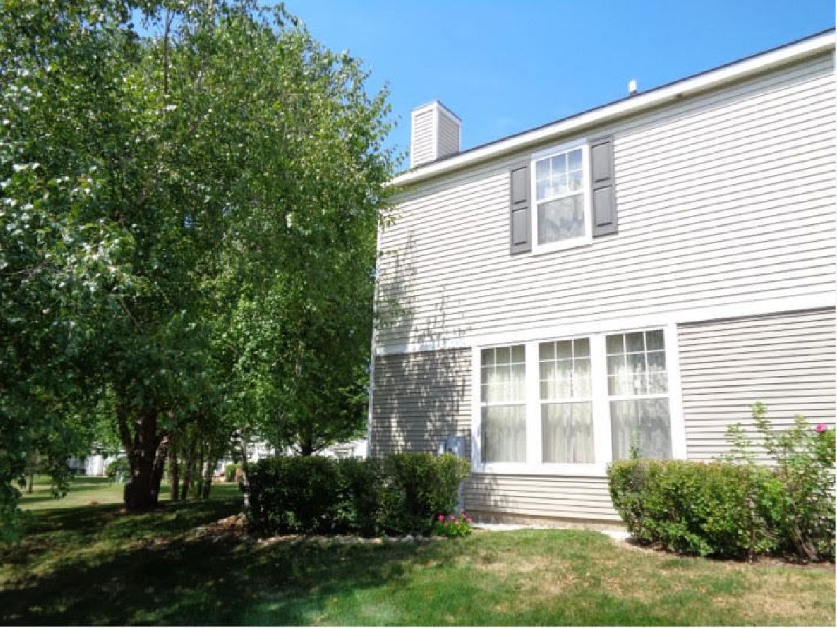 6541 Marble Lane, Carpentersville, Illinois 60110 MLS 10939678