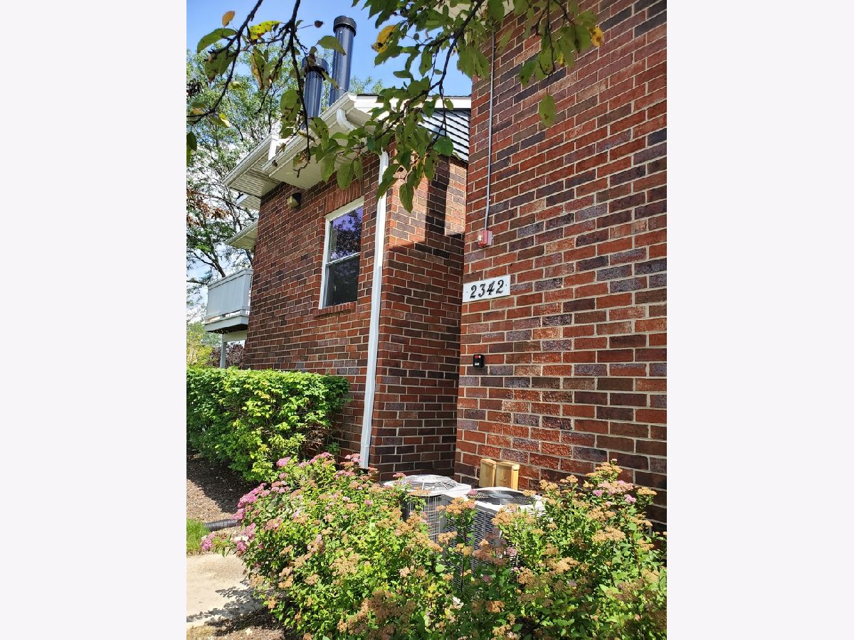 Condominiums Rented Ashton Arlington Heights Illinois, 2342 Goebbert