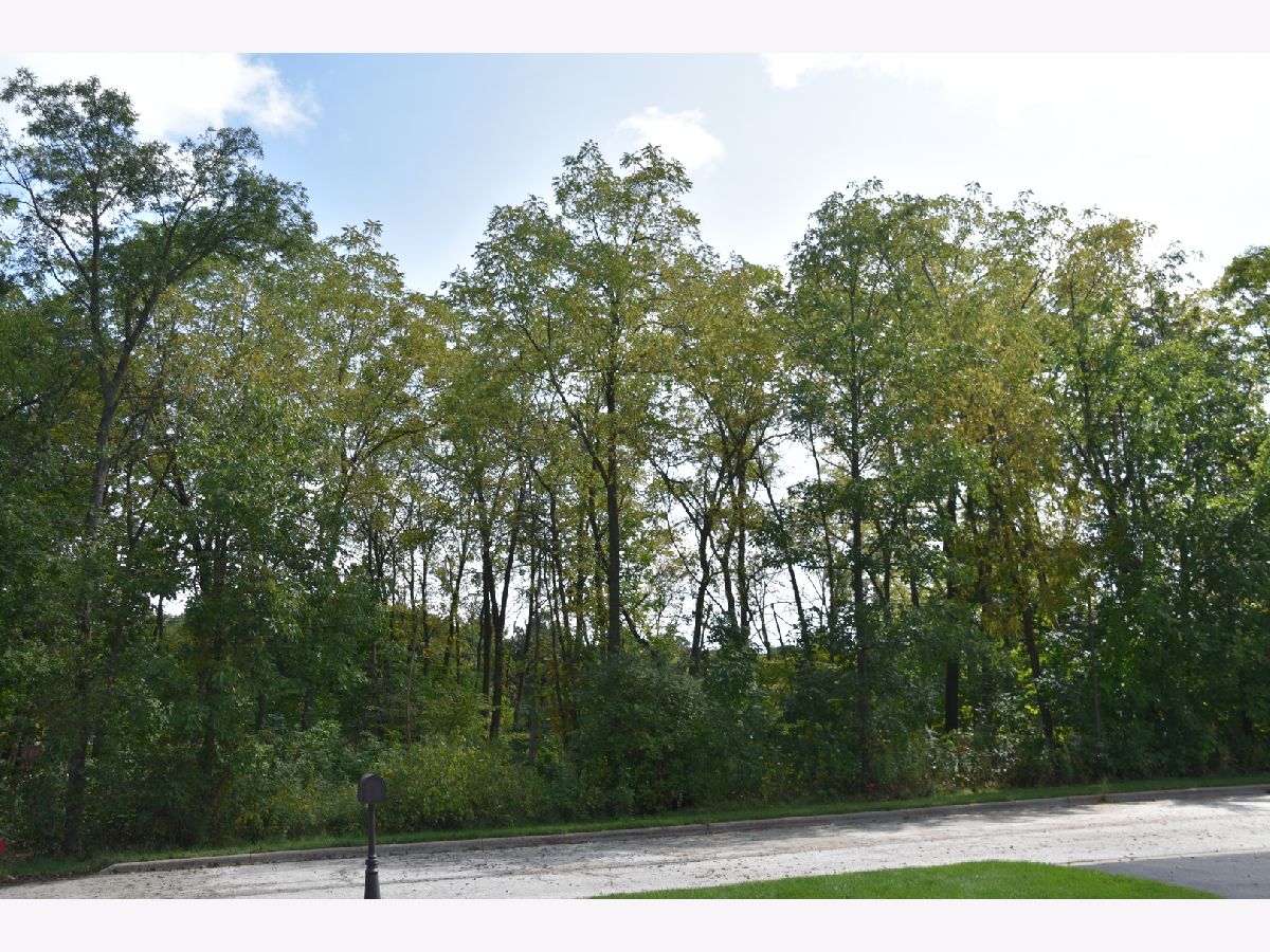 Homes Sold Druce Lake Lake Villa Illinois, 34982 Carvis