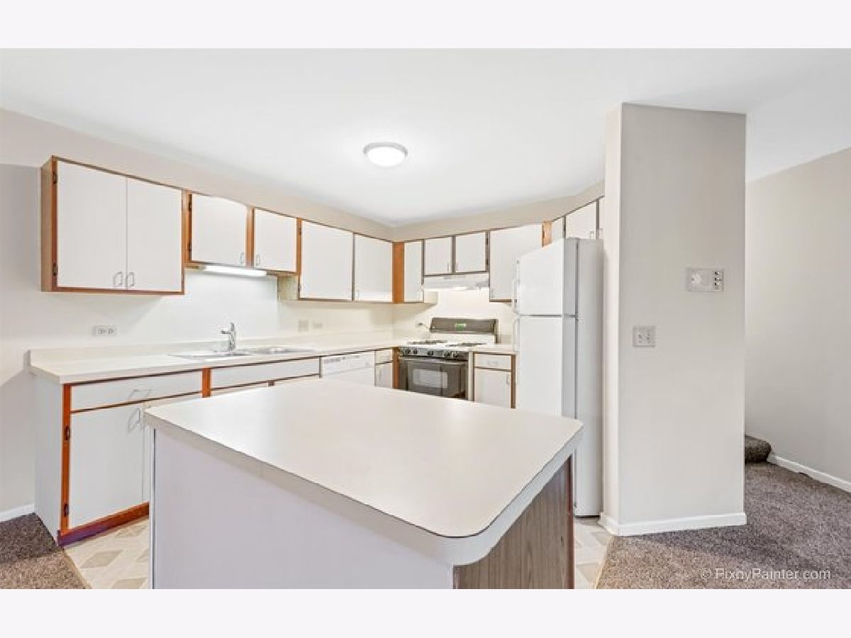 1336 Mcdowell Road, Naperville, Illinois 60563 MLS 10945803 WinterCohen