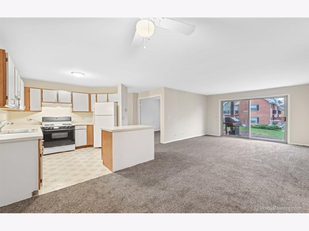 1336 Mcdowell Road, Naperville, Illinois 60563 MLS 10945803 WinterCohen