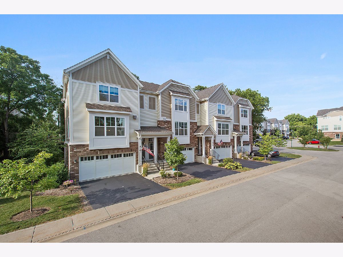 Condos & Townhomes Sold Lexington Chase Palatine Illinois, 870 Chase